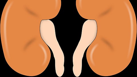 Police investigations revealed that recently two kidney operations were performed on Vinay Kumar and Vasupalli Srinivasa Rao.