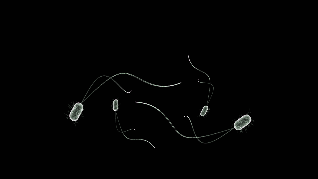 Microrobots will be used in future medicine to carry treatment. (Pixabay)