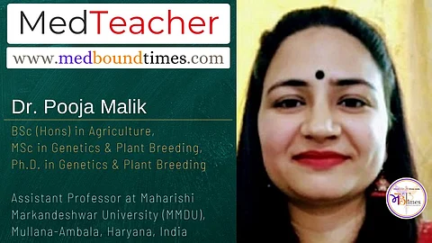 Dr. Pooja Malik, Assistant Professor at Maharishi Markandeshwar University (MMDU), Mullana-Ambala, Haryana, India