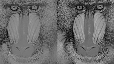 Left: low contrast sensitivity vision, right: high contrast sensitivity vision. (Newswise)