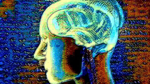 Brain's connectome and dynamics (Wikimedia Commons)