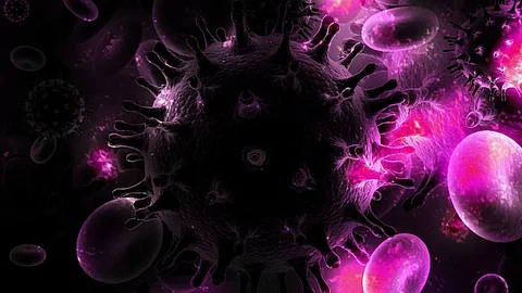 HIV attacks the body's immune system, and if not treated, can lead to AIDS. (Pixabay)