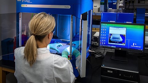 Animals and humans coexist with a vast array of microorganisms known as the microbiome. (Representational Image: Unsplash)