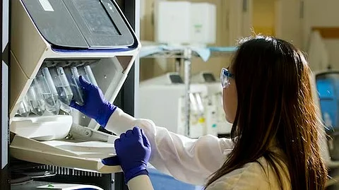 In 2019, a research group reported a method of expanding Hematopoietic Stem Cells over a long time period using a polymer-based culture system and cytokines which improved the earlier methods of gene editing. (Unsplash)