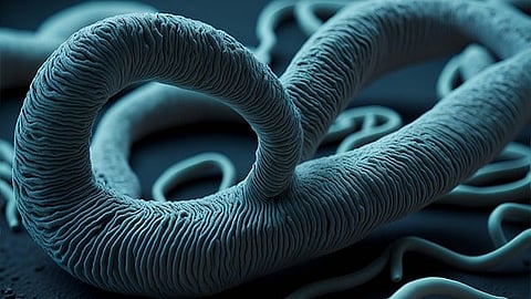 Discovering a way to inhibit the editing process allows for the elimination of the Disease-Causing Parasite without harming human cells. (Pixabay)