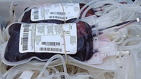 Donated Blood (Wikimedia Commons)
