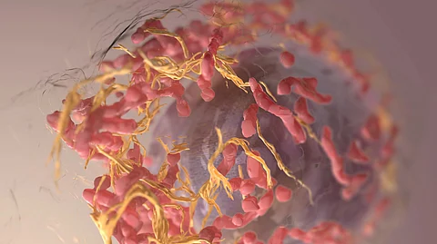 Ranolazine is a medication that is used to treat heart conditions by blocking the movement of calcium ions into cells. (Representational Image: Unsplash)