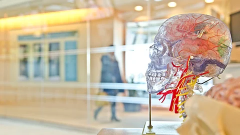 Fundamental Understanding of a Molecule‘s Normal Function Could Inform Treatments for a Variety of Brain Disorders (Representational Image: Unsplash)