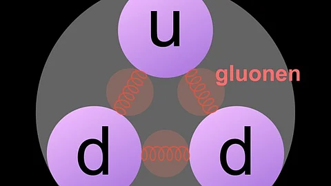 Neutrons are especially important in that hydrogen atoms make up approximately 50% of all atoms in biological systems, and their presence also plays a significant role in determining the strength of chemical bonds between a drug molecule and an enzyme.(Represenational Image: Wikimedia Commons)
