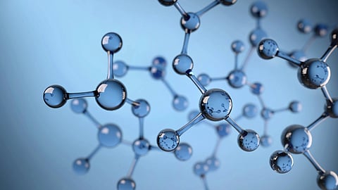 Proteins are large, complex molecules that play many critical roles in the body. They do most of the work in cells and are required for the structure, function, and regulation of the body's tissues and organs. (Unsplash)