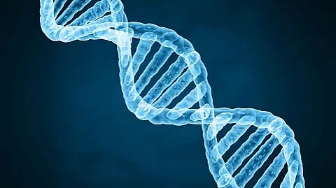 Scientists Uncover a Startling—and Exploitable—Coordination Of Gene Expression in Tumors (Representational Image: Unsplash)