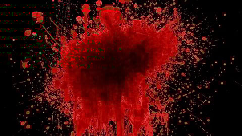 Veerarjuna Vijay, the 31-year-old techie, had killed wife Hemavathi, 29, and their two daughters. (Representational Bound: Wikimedia Commons)