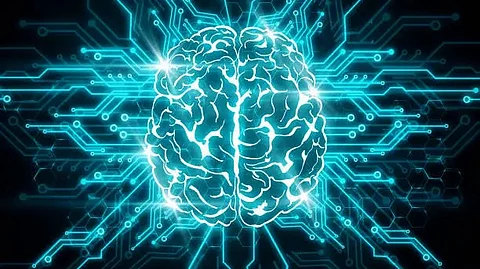 The medial prefrontal cortex and lateral hypothalamus connection plays a crucial role in determining how individuals place value on rewards based on what others have received. (Representational Image: Pixabay)