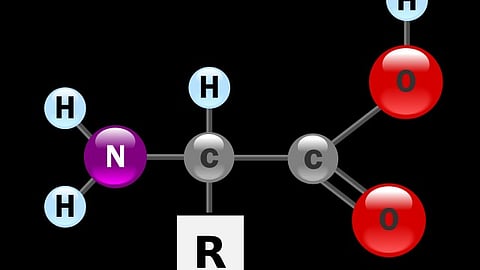 Every protein in your body is made up of the same 20 building blocks called amino acids. (Wikimedia commons)
