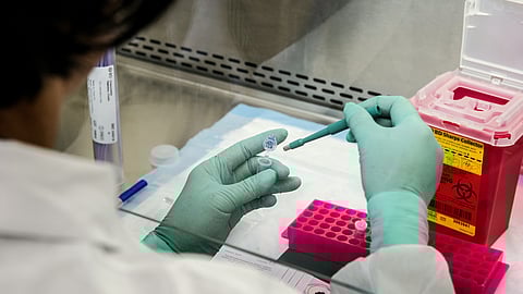 In a development that could accelerate the discovery of new diagnostics and treatments, researchers at Children’s Hospital of Philadelphia (CHOP) have developed a versatile and low-cost technology for targeted sequencing of full-length RNA molecules.
(Representational Image: Unsplash)