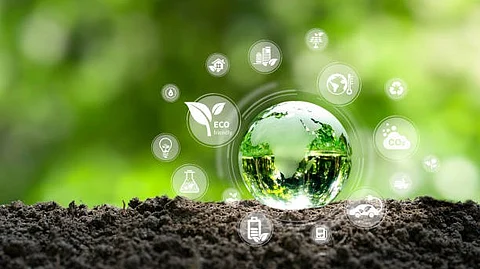 SCP production from a standpoint of socio-economic and environmental sustainability (Representational Image: Unsplash)