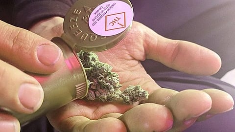 Over the last decade, cannabis products—both synthetic cannabinoids and natural phytocannabinoids—have gained popularity with patients and families for managing such symptoms (Wikimedia Commons)