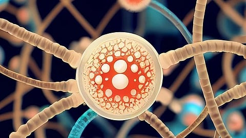 The combination of cryo-electron microscopy and deep learning algorithms allowed the scientists to visualize and dissect the intricate molecular interactions that take place during polyubiquitination, like in a stop motion movie (Representational Image: Pixabay)