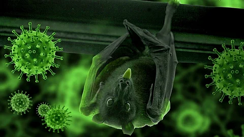 The state's health service was unprepared for the inaugural Nipah outbreak in 2018 (Representational Image: Pixabay)