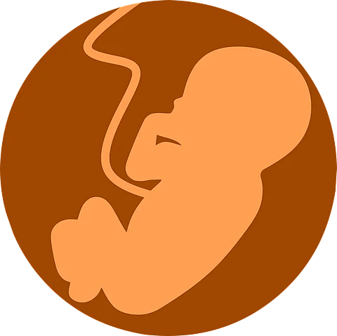 Determination of the pathologic diagnoses for 91.6% of the pregnancies by adding the explicit categories of "placenta with abnormal development" and "small placenta" to the existing categories (Representational Image: Pixabay)