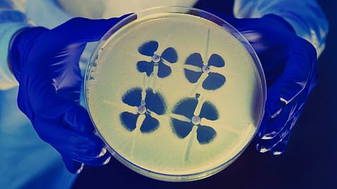 The new study led by RMIT University and the University of South Australia (UniSA) tested black phosphorus-based nanotechnology as an advanced infection treatment and wound healing therapeutic.(Representational Image: CDC PHIL)