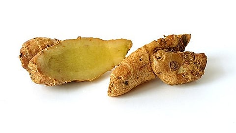 A Southeast Asian ginger could be a potential component for new anti-cancer markers. (Wikimedia commons)
