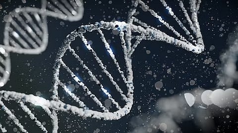 More than 60% of all human genes are estimated to be regulated by microRNAs. (Representational Image: Unsplash)