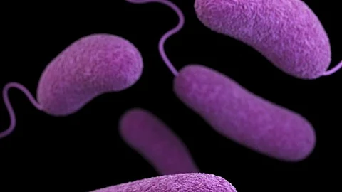 Collection of microbes living on and in the human body (Representational Image: Unsplash)