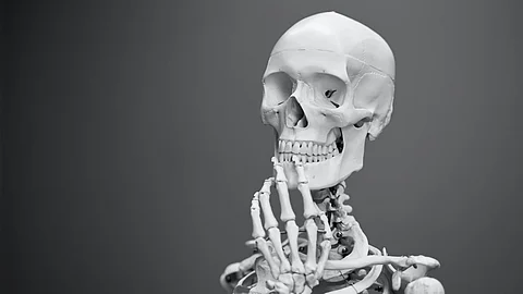 Potato starch supplements could be solution to bone marrow transplant complications. (Representational Image: Unsplash)