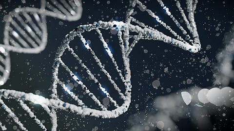 A team of researchers has developed a software tool called DANGER analysis that provides a way for the safer design of genome editing in all organisms with a transcriptome. (Representational Image: Unplash)