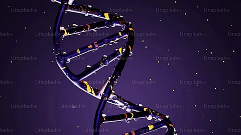 The end of genes: routine test reveals unique divergence in genetic code (Representational image: unplash)