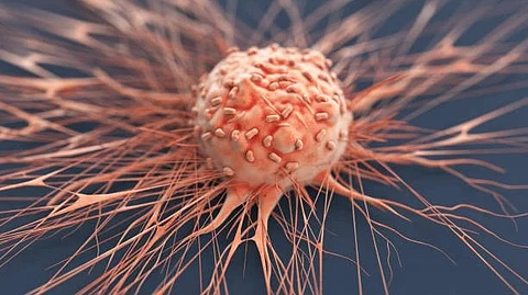The study of a protein with an outsized link to human cancers because of its dangerous mutations. (Representational Image: Unsplash)