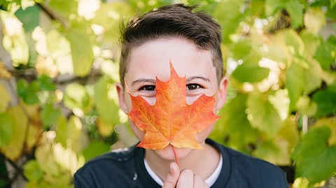 In humans, the body’s signal to stop growing happens around puberty, though it takes several more years before growth actually ceases.
(Representational Image: Unsplash)