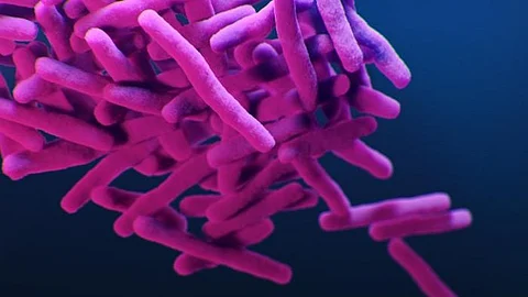 CRS can be categorized into eosinophilic (ECRS) or non-eosinophilic (non-ECRS) types.
(Representational image: CDC PHIL)