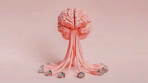 UT Southwestern Medical Center have developed a device that can isolate blood flow to the brain, keeping the organ alive and functioning independent from the rest of the body for several hours.(Representational Image :Unsplash)