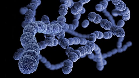 Interactions among microorganisms within the human gut may be associated with increased anxiety levels in people with depression.
(Representational image: Unsplash)