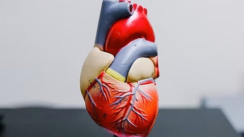 Cardiometabolic conditions
(Representational Image :Unsplash)