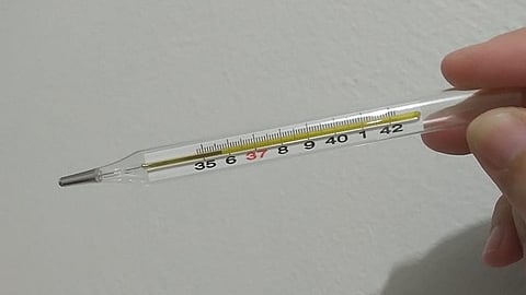 The fever lingers for 4-5 days, and the body temperature fluctuates from 99 to 102 degrees
(Representational Image: Wikimedia Commons)