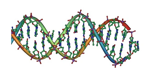 It is already known that changes, mutations, in parts of DNA that do not contain genes can increase the risk of cancer
(Representational image: Wikimedia Commons)