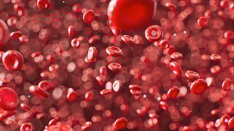 SCD is an inherited red blood cell disorder.
(Representational Image :Unsplash)