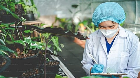 Drug treatments often work by binding to proteins involved in disease and blocking their activity, which either reduces symptoms or treats the disease(Representational image :Unsplash)