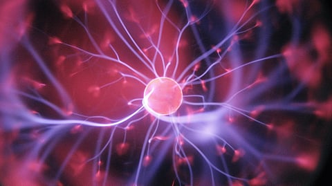Cell-based therapies show promise for drug delivery, replacing damaged tissues, harnessing the body’s own healing mechanisms and more
(Representational image: Unsplash)