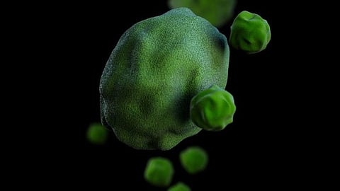 The Chinese health officials attribute this outbreak to the reemergence of multiple pathogens like Mycobacterium pneumoniae, influenza, respiratory syncytial virus, virus-causing COVID-19, and primarily the easing of COVID-19 restrictions (Representational Image: CDC PHIL)