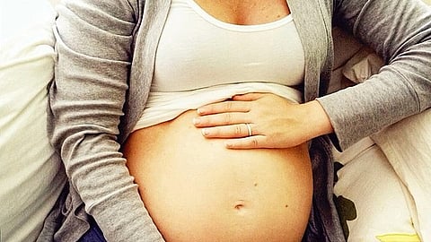 The team will study how transporter proteins carrying nutrients, dietary supplements, medications, and toxic chemicals work during pregnancies.(Representational Image: Wikimedia Commons)