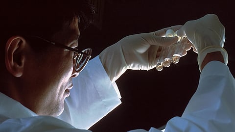 Baruah SiRNAs remove latent viruses from proviral DNA and wipe them out completely
(representational image: Unsplash).