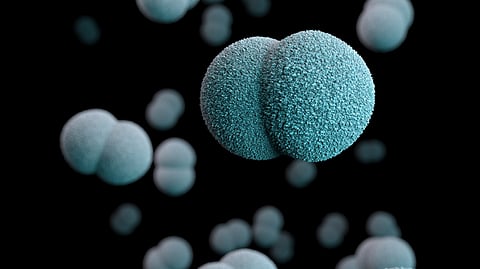 Curing bacterial diseases is becoming more difficult than before, because antibiotics are perhaps our foremost weapons in the fight against them.
(Representational Image: Unsplash)
