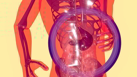 Lower levels of vitamin D found in inflammatory bowel disease (IBD) patients are linked to inflammation, potentially playing a role in the disease's development. (Representational Image: Unsplash)