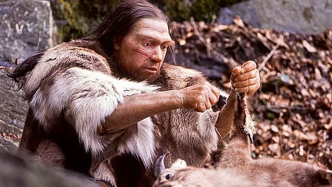 In the study, the researchers combined ancient DNA of Neanderthals, large-scale genetic studies in modern humans, and artificial intelligence. (Representational Image: Wikimedia Commons)
