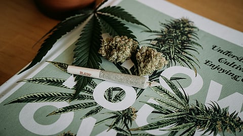 Older adults represent a vulnerable age group for cannabis use due to interactions with medications, risky driving, cannabis-related mental health impacts and increased possibility of falls and memory issues
(Representational image: Unsplash)