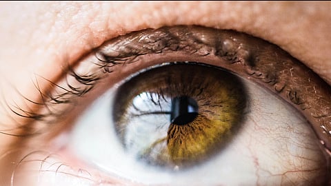 Eye scans provide crucial insights into kidney health, study finds (representational image: Unsplash)